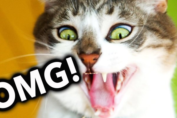 Кракен даркнет ссылка kraken link24 info