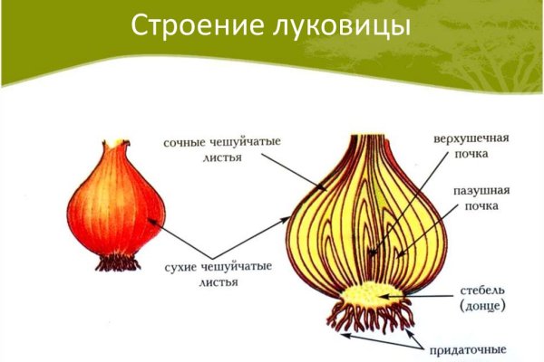Кракен at