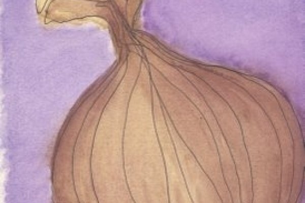 Как зайти на кракен с телефона андроид