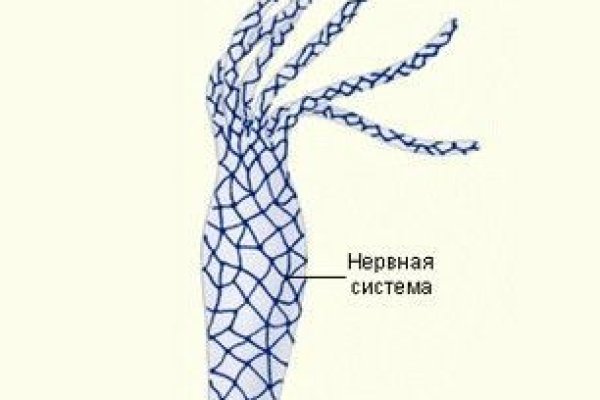 Сайт кракен магазин kraken2 tor2 xyz