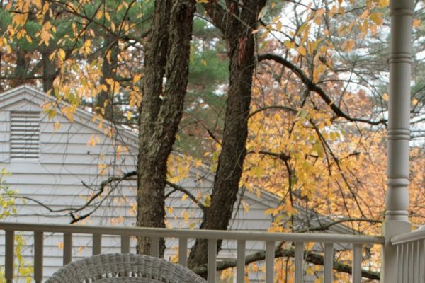 Кракен точка