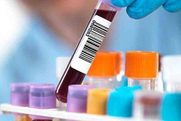 Ссылка кракен зеркало тор